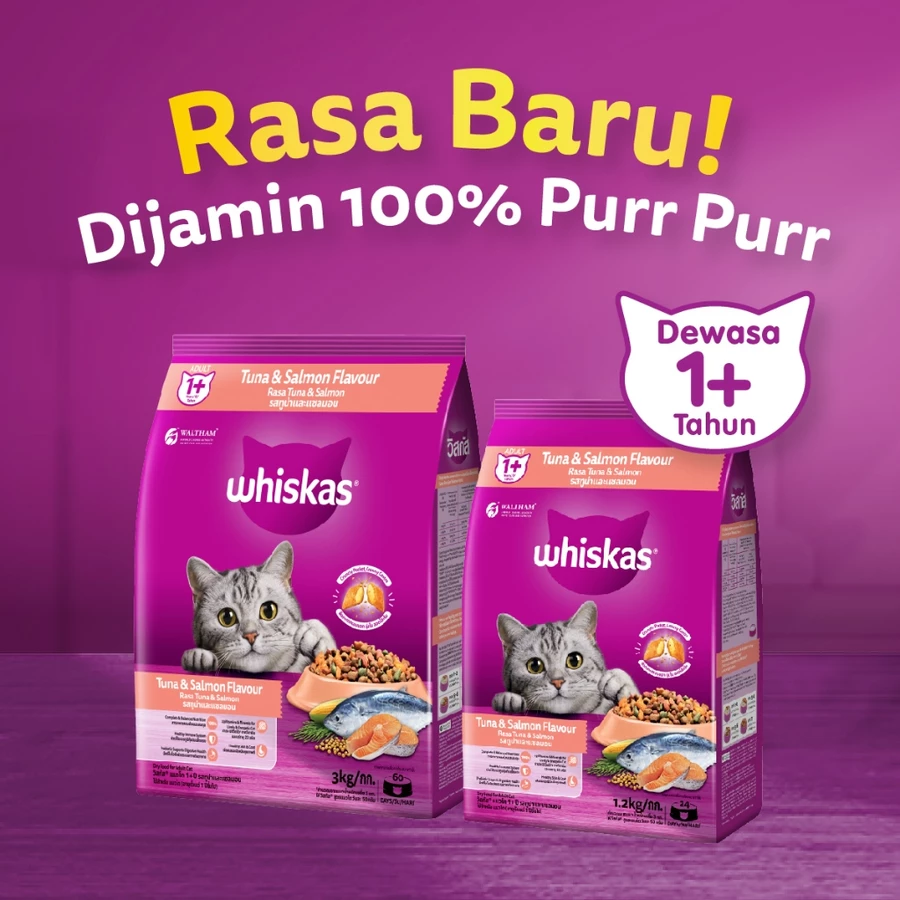 WHISKAS Makanan Kering untuk Kucing Dewasa Pilih Rasa 1.2kg